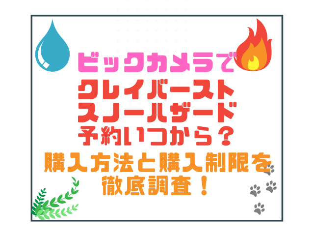ビックカメラでクレイバーストスノーハザード予約いつから？購入方法と購入制限を徹底調査！